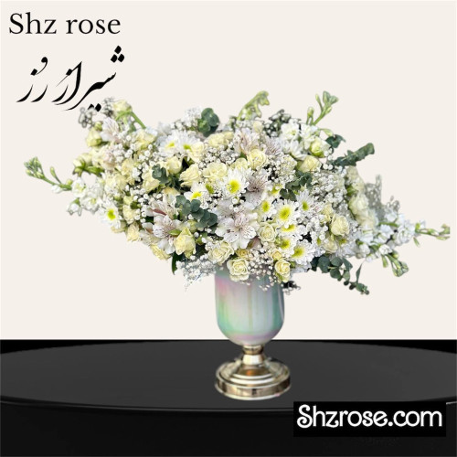 جام گل رز، داوودی و الستر
