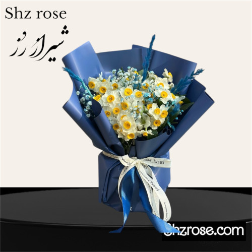 جار نرگس و عروس