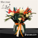 جارگل خاص و زیبا
