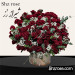 باکس گل رز و عروس