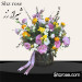 جارگل خاص و زیبا